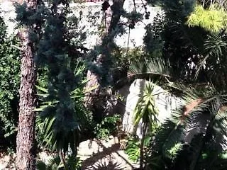 Hotel Alh Digitale 3*